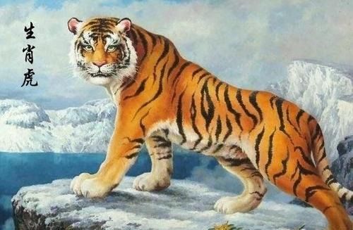 2026年2月属虎人开业选择哪天最吉利？