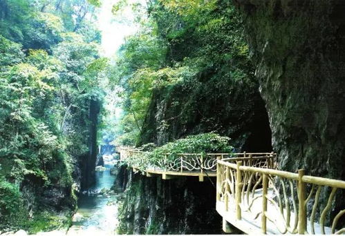 一、 云顶栈道：这是什么神仙地方