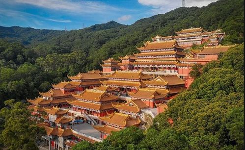 五、情感冲击波——让你的心脏跳动得比鼓点快一点儿！