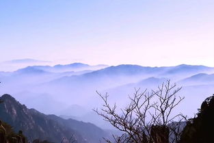 中午：山脚下的野餐惊魂记