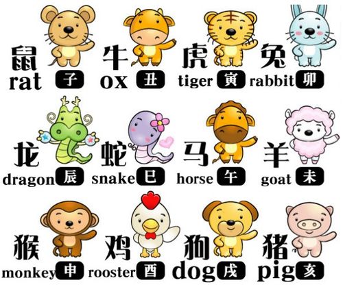 1999年出生的投缘生肖是哪个？22岁与哪个生肖最配？