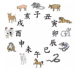 农历六月虎宝宝吉日是哪一天？十二生肖出生年历表如何查询？