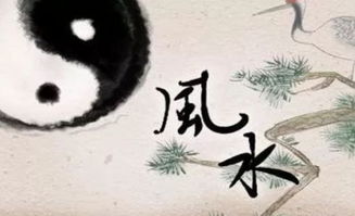 五、  再说说疯狂：斩断烂桃花的方法大全（再来点噪声）