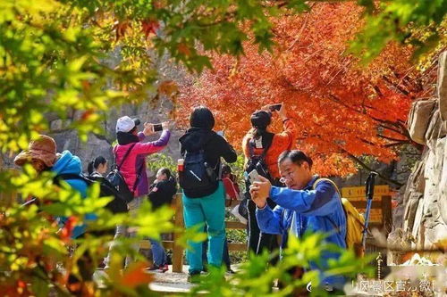 三、 红叶谷：春日里的色彩盛宴