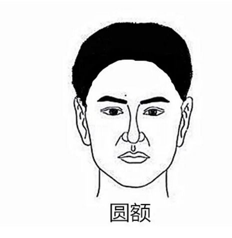 二、 额头与发际线——天赋与命格的交叉口