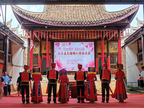 千年阜阳古韵，民俗风情爆款来袭！