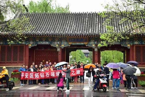 颐和园路的风景与干扰