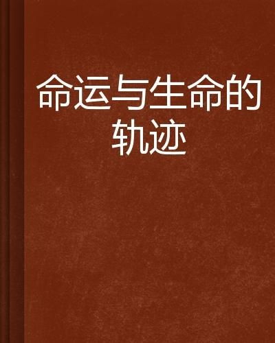 五、怎样让自己的“运”跑起来？（不是说不要走路）