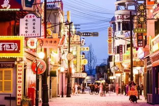 穿越时空的奇妙旅程