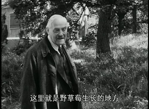 救赎之光