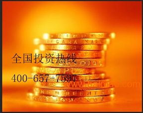 乱花渐欲迷人眼：黄金投资项目公司五花八门