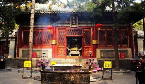 元宵节滚元宵=滚走姻缘?