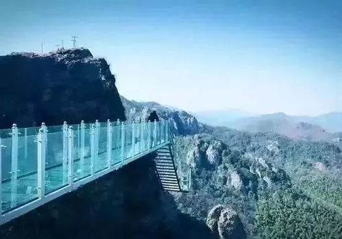 降水与光照：滋养万物的基石