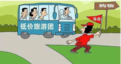 交通篇：花钱找罪受