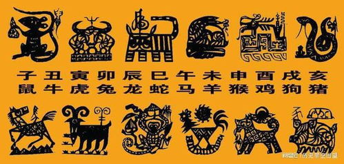十二生肖风俗，传承千年，揭秘生肖文化魅力！