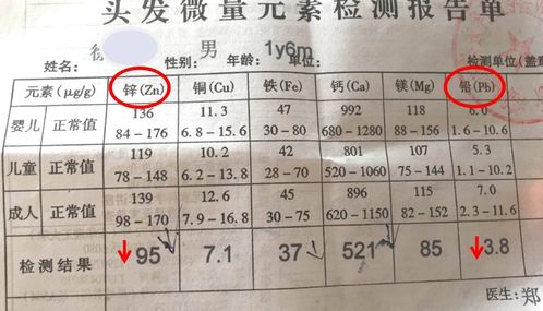 五行八卦？不如摇骰子来得实在