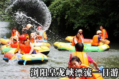 景区乱象：人比鱼还多