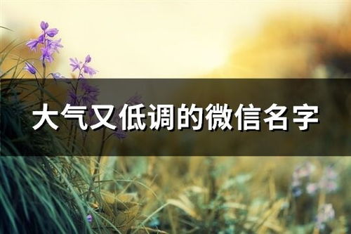 你是否被这些问题困扰？