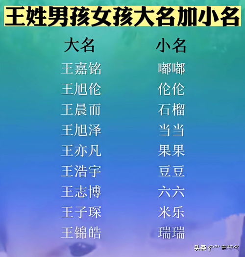 2025年宝宝取一个姓王许崭新颖名字的字宜用是哪些？