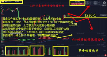 金火大战现场直播