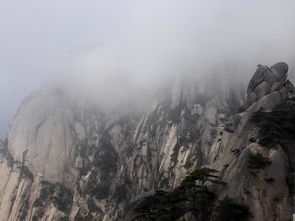 送客仪式：树枝与背包的较大戏