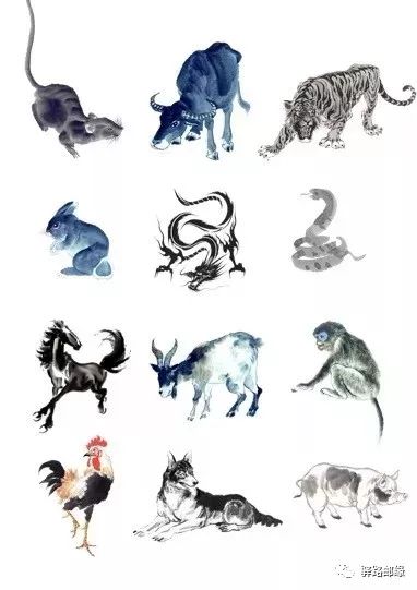 2024年今日十二生肖运势具体内容是什么？