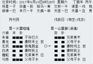 八字看旺衰究竟在命理分析中扮演着怎样的关键角色？