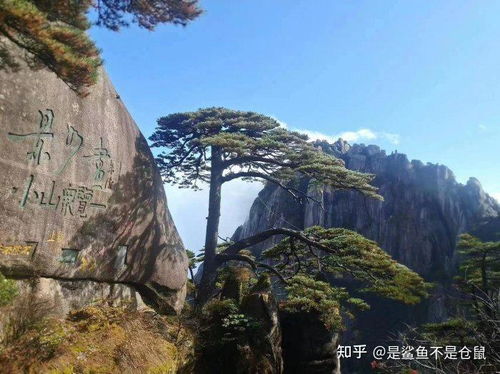 惯与预算的那些细碎账目