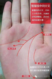 四、如何安全地探索自己的掌纹？（建议与技巧）
