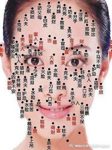 三、眉间那颗智障痣：聪明？我看是自作聪明