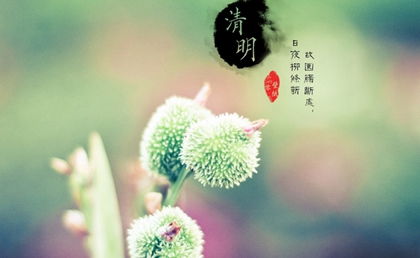三月哪一天修坟最吉利，十月初三修坟合适吗？