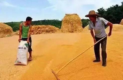 从风水看苞谷·粮食危机——旱灾与祈雨仪式