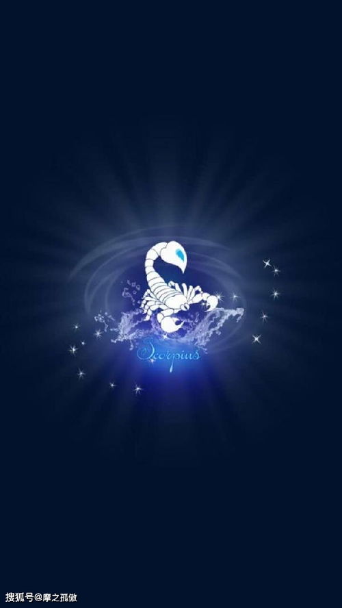 天蝎座：真实至上