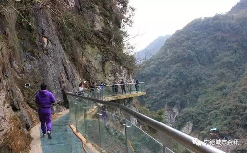 门票市场价格那一些事儿
