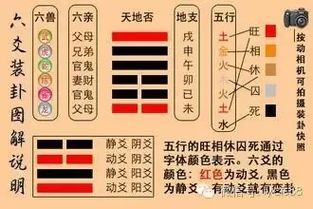 六爻数字风地观卦六爻吉凶详断，如何准确判断？