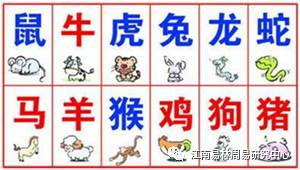 调整生活习惯也是必要的