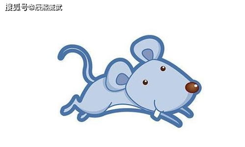 属鼠天秤座2026年农历九月运势如何，鼠天秤座2026年运势具体表现是什么？