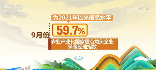 八字角度：格局复杂难以捉摸