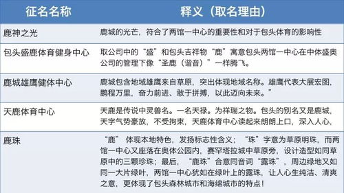 序章：名字， 像一只迷路的猫