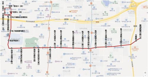 金石滩公交车：方便又实惠