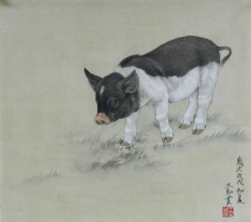 1971年属猪的人婚姻如何？感情长久秘诀是什么？