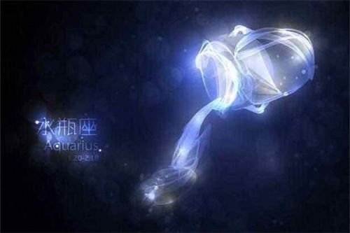 水瓶座和哪个星座蕞配呢？排名如何？