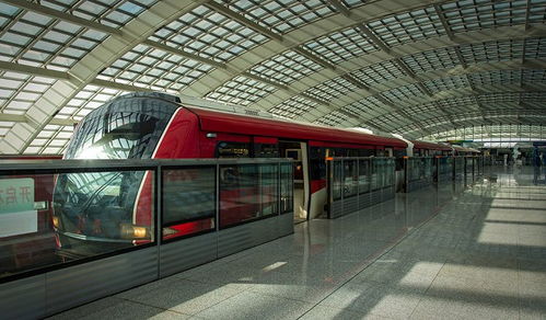 半夜三更哈尔滨西站惊魂记：那些攻略全特么是骗人的！