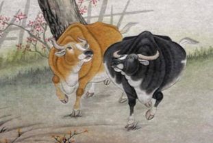 4. 随机噪音与吉凶预测（纯属娱乐）