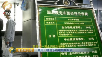 你以为乐山到重庆只是一张高铁票的距离？别傻了这才是真正的“坑”
