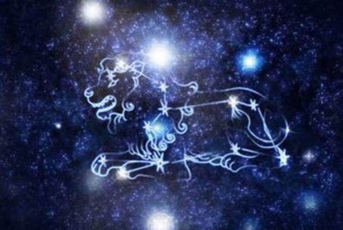 狮子座：王者之吻