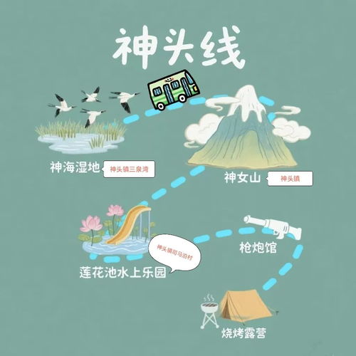 一、 随意开场——黄山亲子研学之旅（2023年7月）