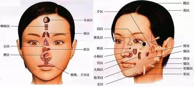 微胖女性的脸蛋：福相的另一种体现