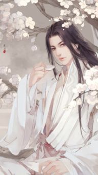 千年南方古风，文化瑰宝传承爆款