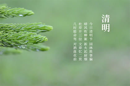 扫墓时间表：黄道吉日还是黄历骗局？
